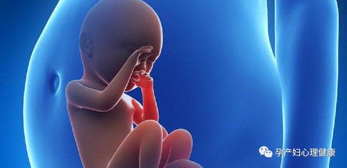 香港驗血多久能測出來嗎(香港萬利分子檢驗中心驗血報告5小