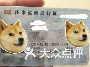 香港診所可以驗血查性別嗎(驗血能測性別是真的嗎 )