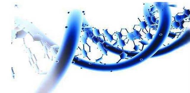 孕期唐氏篩查幾周能做？